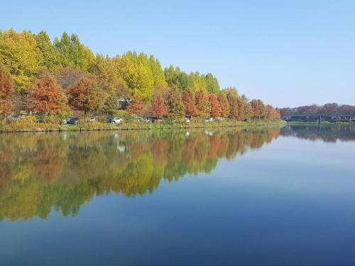 소담행 (Sodamhang in Damyang)