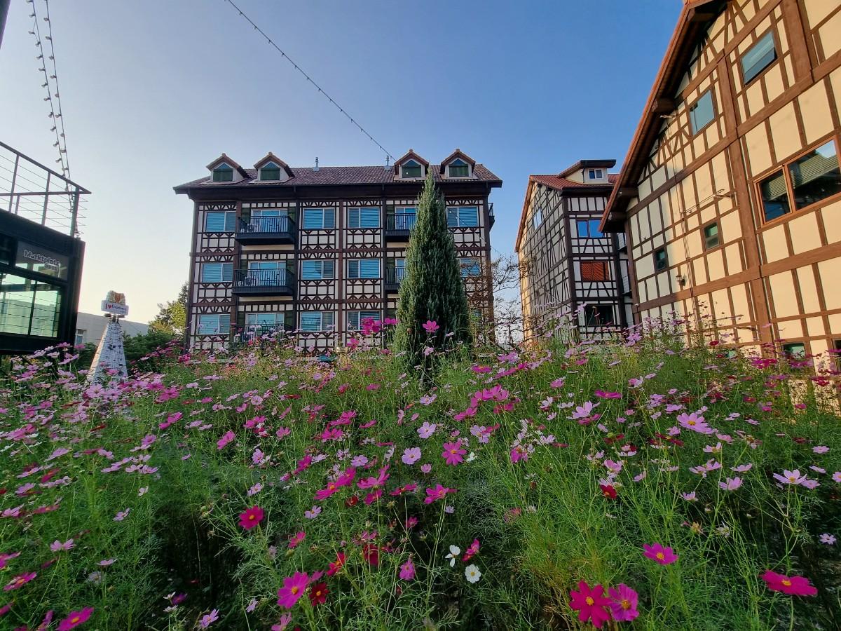 유럽마을 문화체험 B&B Trinity 코스