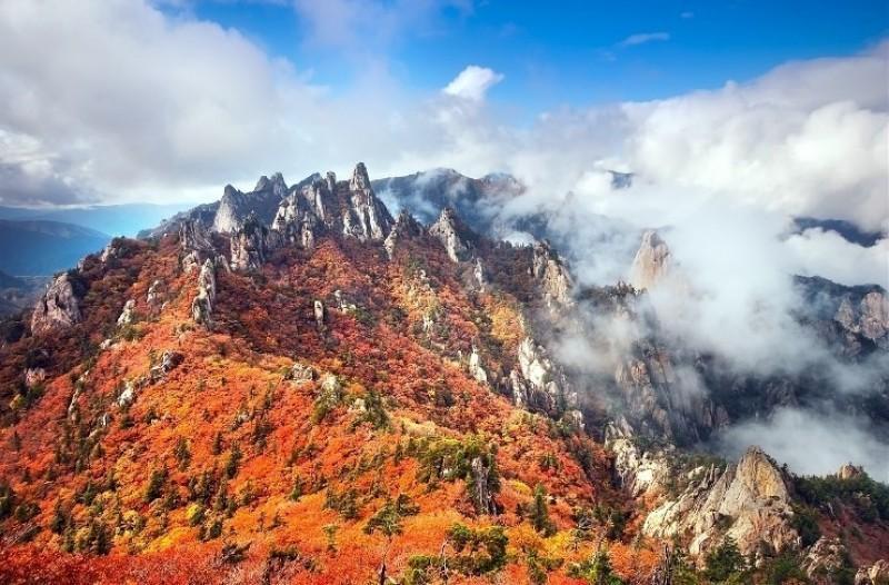 낙산 의상대 펜션 (Yangyang Naksan Uisangdae Pension)