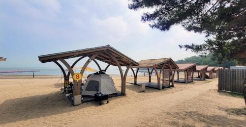 진천 다올 캠핑장 (Jincheon Daol Camp Site)